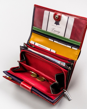 Herren Geldbörse aus farbigem Echtleder – Rovicky