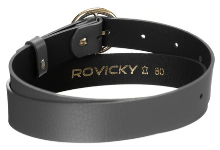 Damen Gürtel aus Leder glänzend mit goldener, runder Schnalle – Rovicky