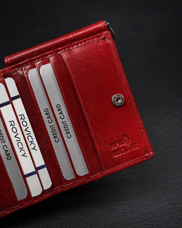 Stilvolle Herren Banknotentasche aus Echtleder – Rovicky