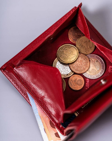 Kleine Damen Geldbörse aus Leder ohne Verschluss – Peterson