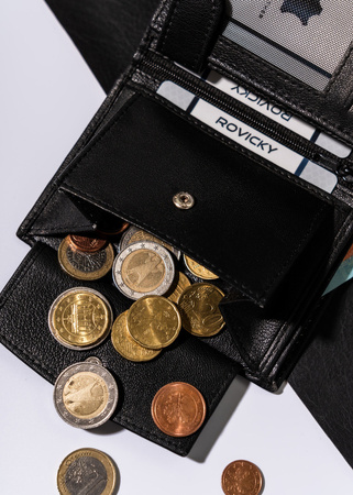 Herren-Geldbörse aus Leder ohne Verschluss - Always Wild