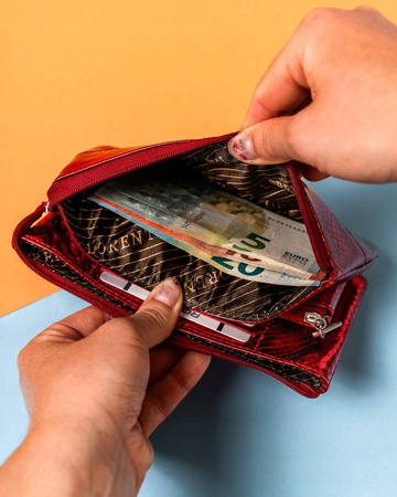 Große Damen Geldbörse mit Reißverschluss aus Echtleder – Lorenti