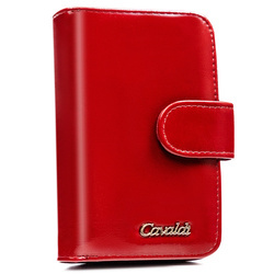 Große geräumige Damen Geldbörse aus Öko-Leder – 4U Cavaldi