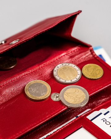 Damen Geldbörse aus Leder mit Druckverschluss – Rovicky