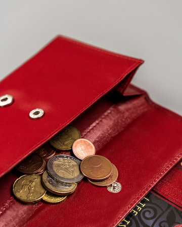 Mehrfarbige Damen Geldbörse aus Leder mit Druckknopf – Peterson