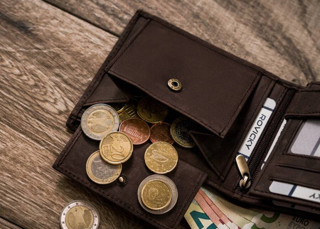 Große Herren Geldbörse aus Leder – Always Wild