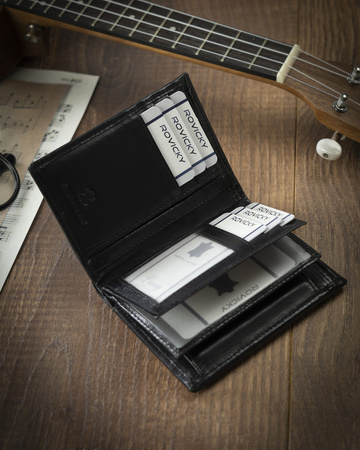 Große Herren Geldbörse aus Echtleder mit RFID Stop – Cavaldi