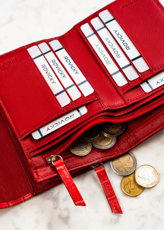 Damen Geldbörse aus echtem Leder mit Druckknopf – Rovicky