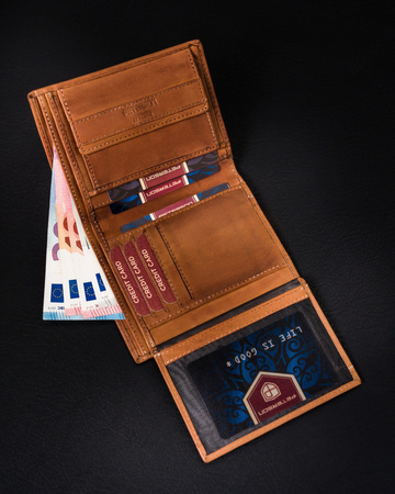 Herren Geldbörse aus verlaufendem Echtleder – Peterson