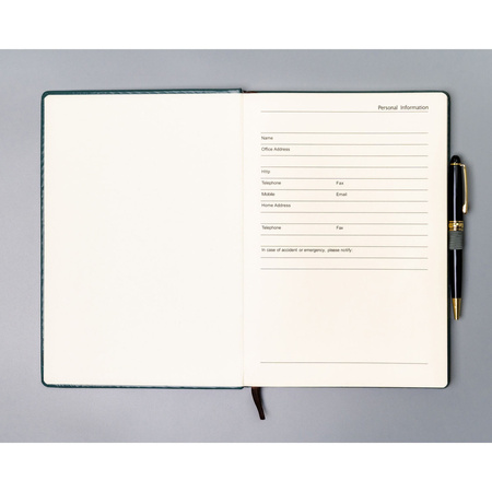 Notizbuch mit festem Einband in grün, im Format B5 mit Punktraster bedruckt - Peterson