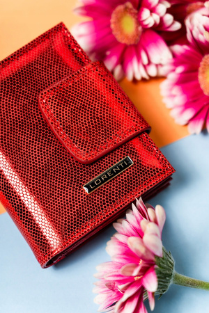 Stilvolle Damen Geldbörse aus Leder mit Druckknopf und Bügelverschluss – Lorenti