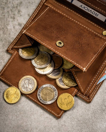 Große Herren Geldbörse aus Nubukleder – Always Wild