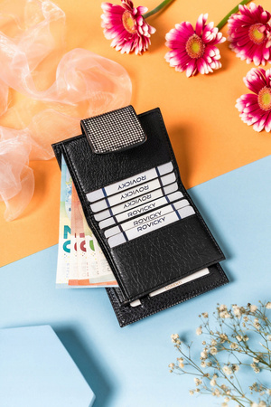 Stilvolle Damen Geldbörse aus Leder mit Druckknopf und Bügelverschluss – Lorenti