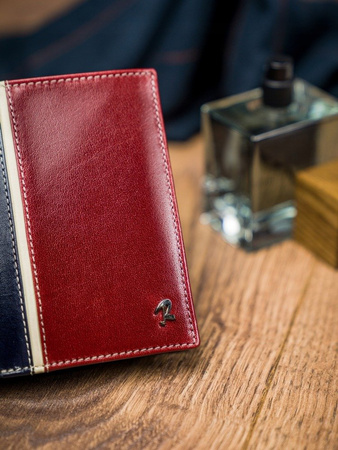 Herren Geldbörse hochkant, zweifarbig aus Leder – Rovicky