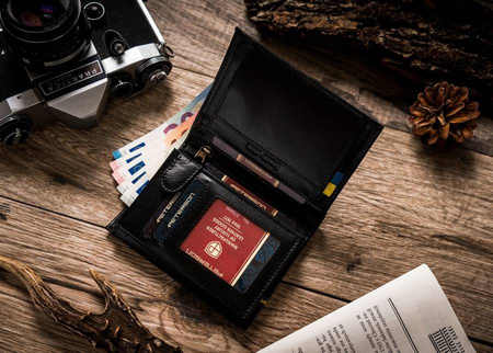 Große Herren Geldbörse aus Leder ohne Verschluss – Peterson