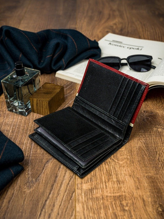 Herren Geldbörse hochkant, zweifarbig aus Leder – Rovicky