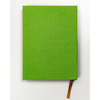 Grünes Notizbuch mit festem Einband, bedruckt mit Punkten, Format B6 - Peterson
