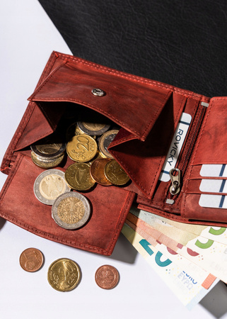 Große Herren Geldbörse aus echtem Leder – Always Wild