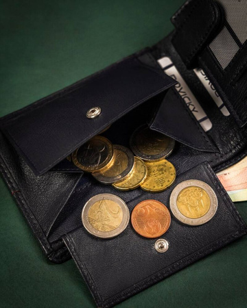 Große Herren Geldbörse aus Leder mit RFID-Schutz – Rovicky