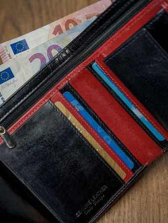 Vertikale Herren Geldbörse aus zweifarbigem Echtleder – Rovicky