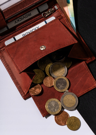 Große, vertikale Herren Geldbörse aus echtem Leder – Always Wild