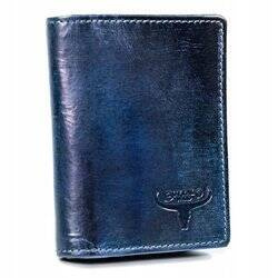 Herren Geldbörse klein hochkant – Buffalo Wild