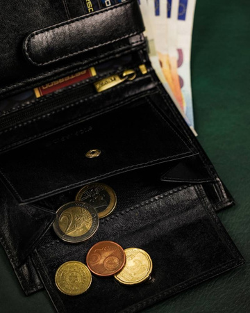 Große Herren Geldbörse aus Leder ohne Verschluss – Peterson