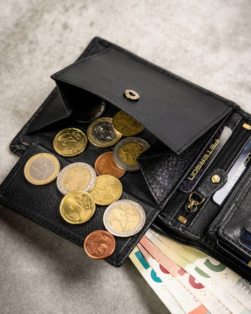 Geschenkset: Herren Geldbörse aus Leder und Schlüsselanhänger – Peterson