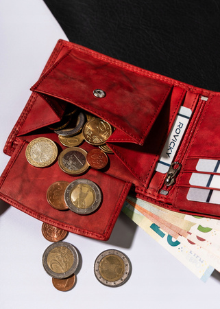 Große Herren Geldbörse aus echtem Leder – Always Wild