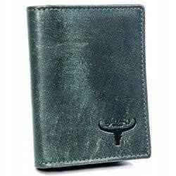 Damen Gürtel schmal mit silberner Metallschnalle, klassisch