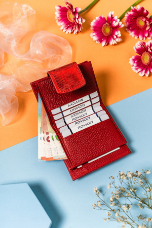 Stilvolle Damen Geldbörse aus Leder mit Druckknopf und Bügelverschluss – Lorenti