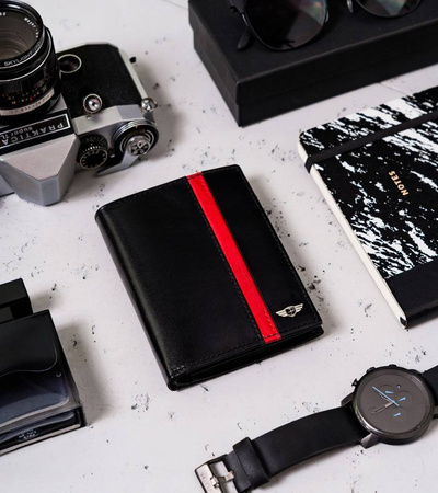 Große, vertikale Herren Geldbörse aus Leder – Peterson