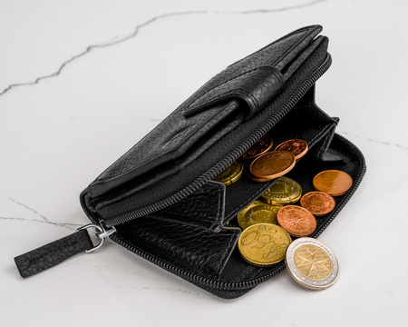 Damen Handtasche aus Leder im Set mit Geldbörse – Peterson