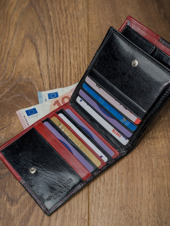 Herren Geldbörse hochkant, zweifarbig aus Leder – Rovicky