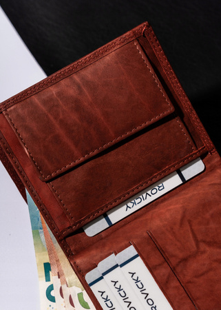 Große Herren Geldbörse aus Leder – Always Wild