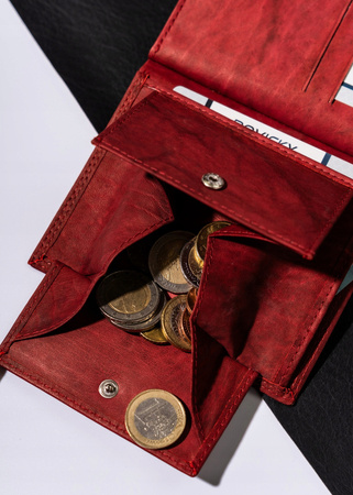 Große Herren Geldbörse aus Leder – Always Wild