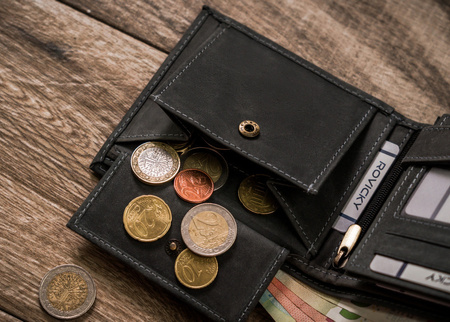 Große Herren Geldbörse aus Leder – Always Wild