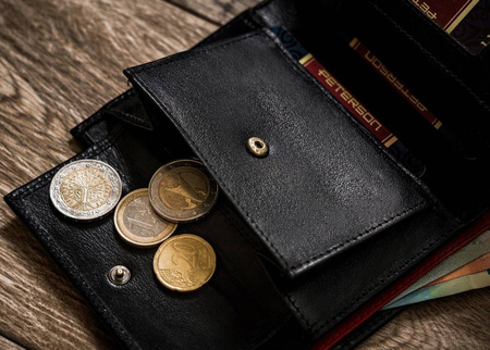 Herren Geldbörse aus Leder mit RFID-Schutz – Peterson