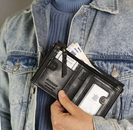 Große Retro Herren Geldbörse mit zwei Münzfächern – Rovicky