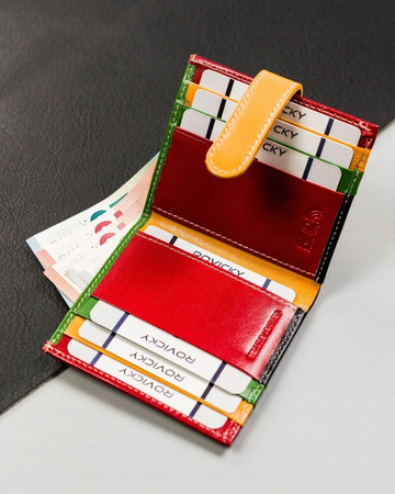 Praktisches Kartenetui aus echtem Leder – Rovicky