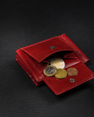 Stilvolle Herren Banknotentasche aus Echtleder – Rovicky