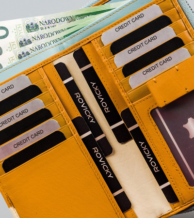 Bunte Damen Geldbörse aus Echtleder mit zwei Fächern – Rovicky