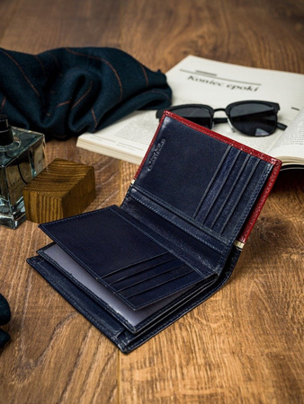 Herren Geldbörse hochkant, zweifarbig aus Leder – Rovicky