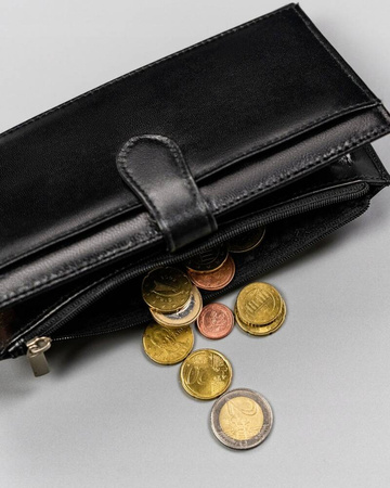 Großer, praktischer Damen Geldbörse mit Druckknopf aus Leder – Peterson