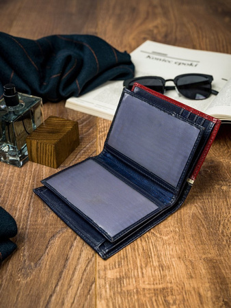 Herren Geldbörse hochkant, zweifarbig aus Leder – Rovicky