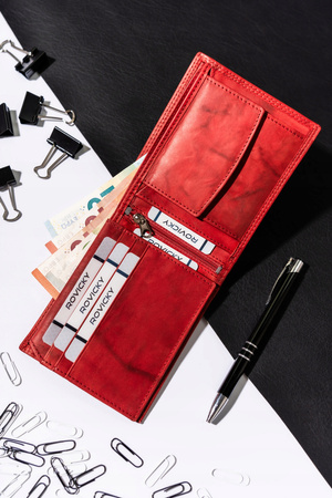 Große Herren Geldbörse aus echtem Leder – Always Wild