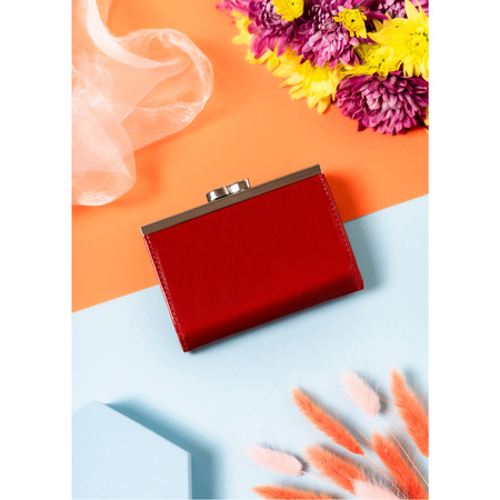 Damen Geldbörse mit Fächern für Ausweise und Bargeld – Peterson