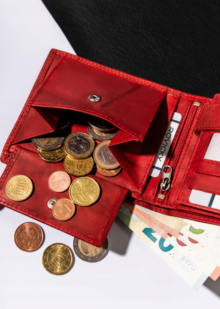 Große Herren Geldbörse aus Leder, Querformat – Always Wild