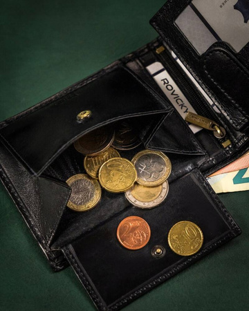 Elegante Herren Geldbörse aus Leder ohne äußeren Verschluss – Rovicky