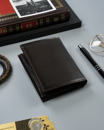 Pionier Herren Geldbörse aus Leder ohne Verschluss – Rovicky